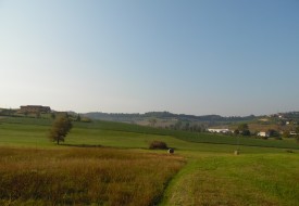 Terreno edificabile - Moncalvo