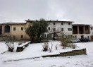 IMG_8704