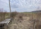 IMG_1343