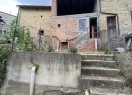 IMG_3351