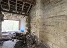 IMG_3356