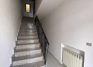 IMG_4281