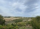 IMG_8208