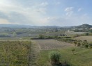 IMG_8528