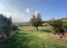 IMG_8612