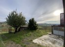IMG_9699