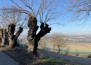 IMG_1606