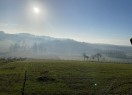 IMG_1647