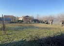 IMG_1668