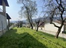 IMG_4119
