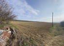 IMG_2468