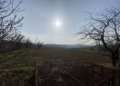 IMG_2470
