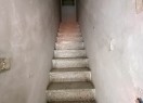 IMG_3984