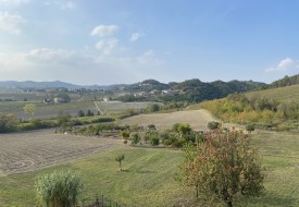 Terreni agricoli - Castelletto Merli