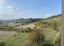 IMG_8531
