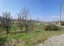 IMG_3807