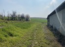 IMG_3825