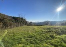 IMG_1702
